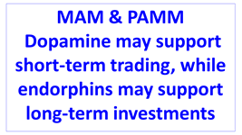 dopamine support short-term trading endorphins support long-term investments en